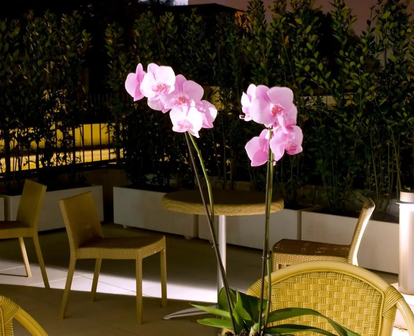 Hotel De Petris Rome