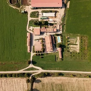 Albero Del Latte Italië